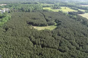 Dover Bridge Rd, Preston, MD 21655 - Photo 1