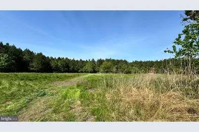 Dover Bridge Road, Preston, MD 21655 - Photo 11