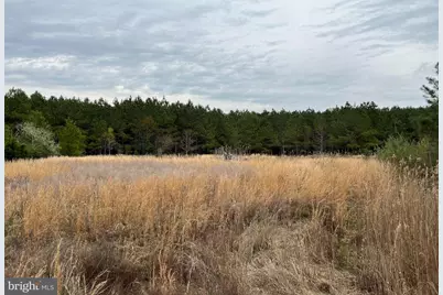 Dover Bridge Road, Preston, MD 21655 - Photo 17