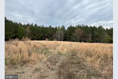 Dover Bridge Road, Preston, MD 21655 - Photo 19