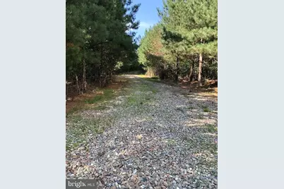 Dover Bridge Road, Preston, MD 21655 - Photo 9