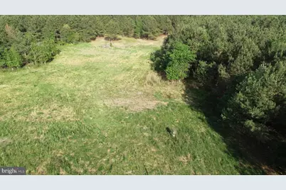 Dover Bridge Road, Preston, MD 21655 - Photo 7