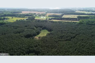 Dover Bridge Road, Preston, MD 21655 - Photo 3