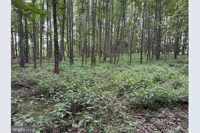 Trunk Line Road, Henderson, MD 21640 - Photo 5