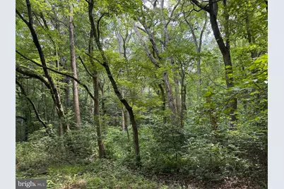 Trunk Line Road, Henderson, MD 21640 - Photo 5