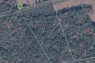 Trunk Line Rd, Henderson, MD 21640 - Photo 1