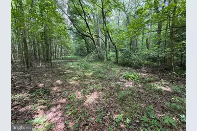 Trunk Line Road, Henderson, MD 21640 - Photo 3