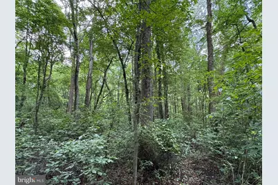 Trunk Line Road, Henderson, MD 21640 - Photo 7
