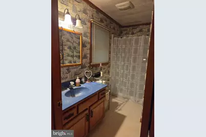 21245 Tanyard Road, Preston, MD 21655 - Photo 9