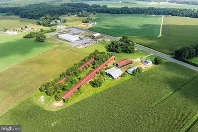 25699 Auction Road, Federalsburg, MD 21632 - Photo 61