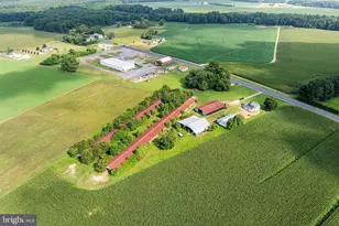 25699 Auction Rd, Federalsburg, MD 21632 - Photo 61