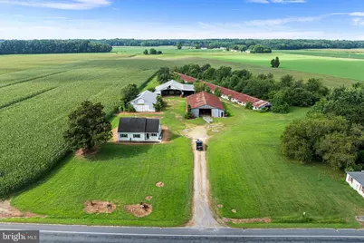 25699 Auction Road, Federalsburg, MD 21632 - Photo 59