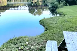 306 S Main St, Federalsburg, MD 21632 - Photo 1