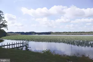 24800 Pealiquor Rd, Denton, MD 21629 - Photo 25