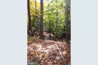 24276 Asbury Drive, Denton, MD 21629 - Photo 45