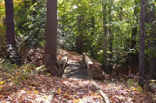 24276 Asbury Dr, Denton, MD 21629 - Photo 45