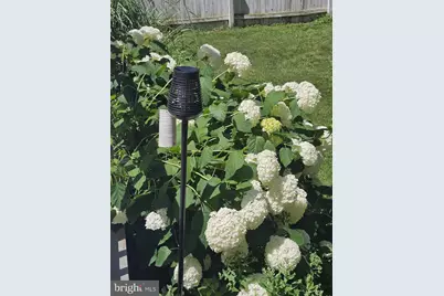 5585 Harmony Woods Drive, Preston, MD 21655 - Photo 51