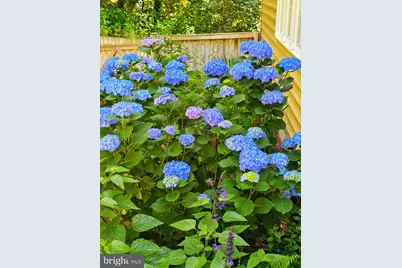 5585 Harmony Woods Drive, Preston, MD 21655 - Photo 53