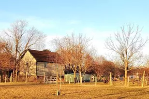 27329 Iron Gate Rd, Federalsburg, MD 21632 - Photo 19