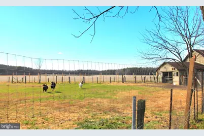 27329 Iron Gate Road, Federalsburg, MD 21632 - Photo 17