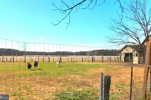 27329 Iron Gate Rd, Federalsburg, MD 21632 - Photo 17