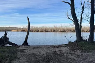 24383 Robins Creek Rd, Preston, MD 21655 - Photo 29