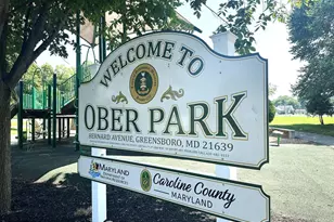 412 N Main St, Greensboro, MD 21639 - Photo 29