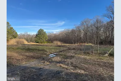 11289 Gregg Road, Denton, MD 21629 - Photo 13