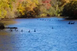 12820 Porters Landing Rd, Greensboro, MD 21639 - Photo 67