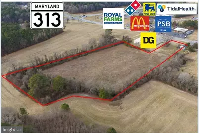 Bloomingdale Avenue, Federalsburg, MD 21632 - Photo 1