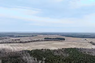 25056 E Cherry Ln, Greensboro, MD 21639 - Photo 69