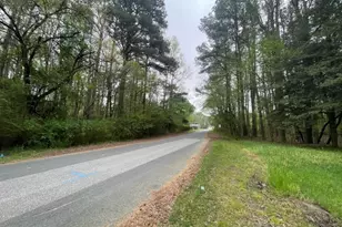 Nelpine Rd, Preston, MD 21655 - Photo 3