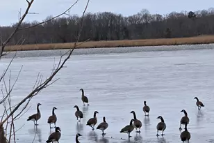 23116 Gilpin Point Rd, Preston, MD 21655 - Photo 31