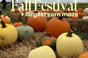 221 Denton Rd, Federalsburg, MD 21632 - Photo 33