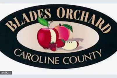 221 Denton Road, Federalsburg, MD 21632 - Photo 31