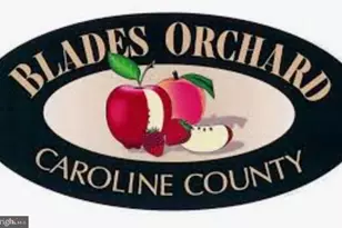 221 Denton Rd, Federalsburg, MD 21632 - Photo 31