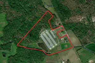 Cool Spring Rd, Marydel, MD 21649 - Photo 1