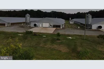 Cool Spring Rd, Marydel, MD 21649 - Photo 9