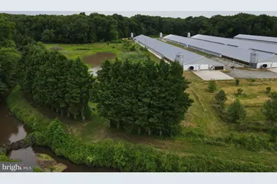 Cool Spring Rd, Marydel, MD 21649 - Photo 7