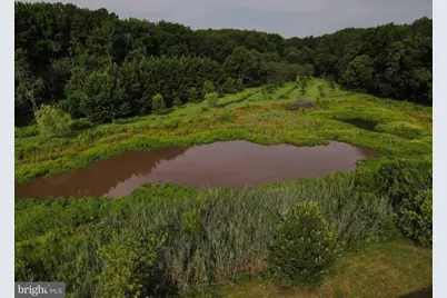Cool Spring Rd, Marydel, MD 21649 - Photo 15