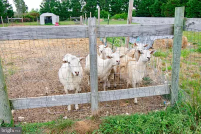 22408 Hog Creek Road, Preston, MD 21655 - Photo 51