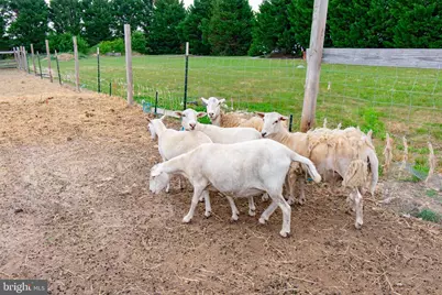 22408 Hog Creek Road, Preston, MD 21655 - Photo 47