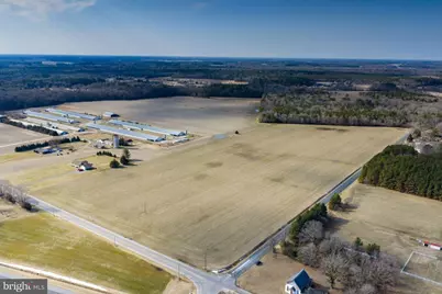 Liberty Road, Federalsburg, MD 21632 - Photo 5