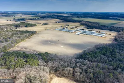 Liberty Road, Federalsburg, MD 21632 - Photo 11