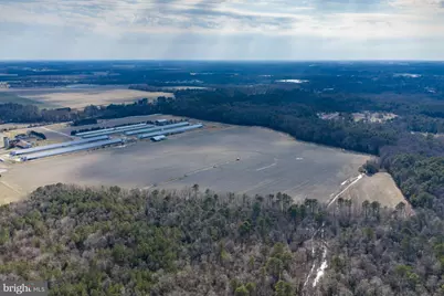 Liberty Road, Federalsburg, MD 21632 - Photo 9