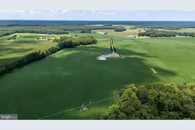 28219 Bridgeville Road, Federalsburg, MD 21632 - Photo 7