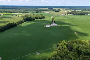 28219 Bridgeville Rd, Federalsburg, MD 21632 - Photo 7