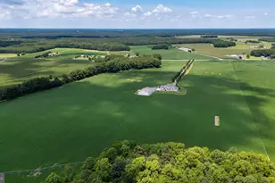 28219 Bridgeville Rd, Federalsburg, MD 21632 - Photo 87