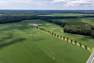 28219 Bridgeville Rd, Federalsburg, MD 21632 - Photo 89