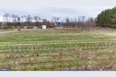 8416 Harmony Road, Denton, MD 21629 - Photo 69